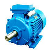 Squirel Cage Electric Motor FEM Motor 